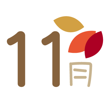 11月